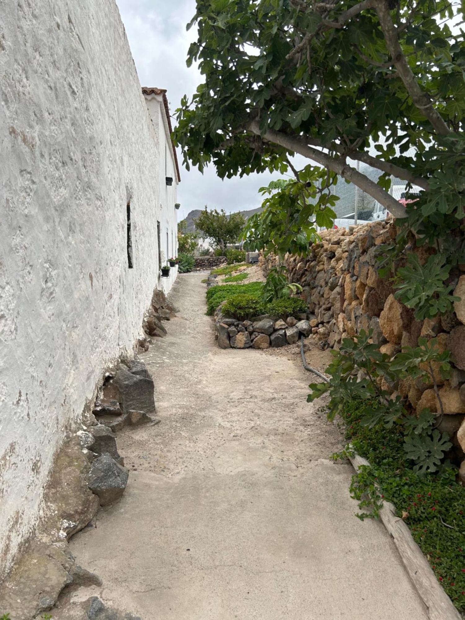 Casa Rural El Pasil 2 อาโรนา ภายนอก รูปภาพ